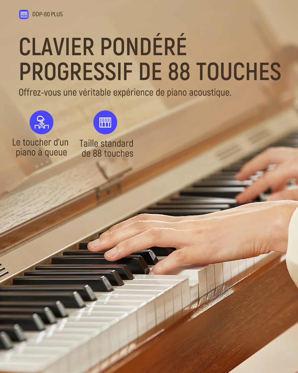 Image du produit 13
