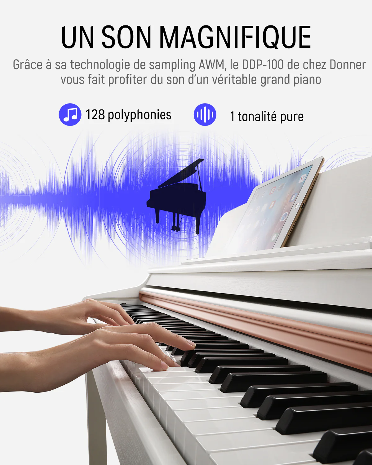 Image du produit 17
